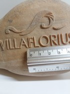 logo villaflorius.jpg